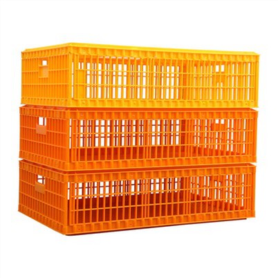 جعبه حمل و نقل مرغ زنده پلاستیکی