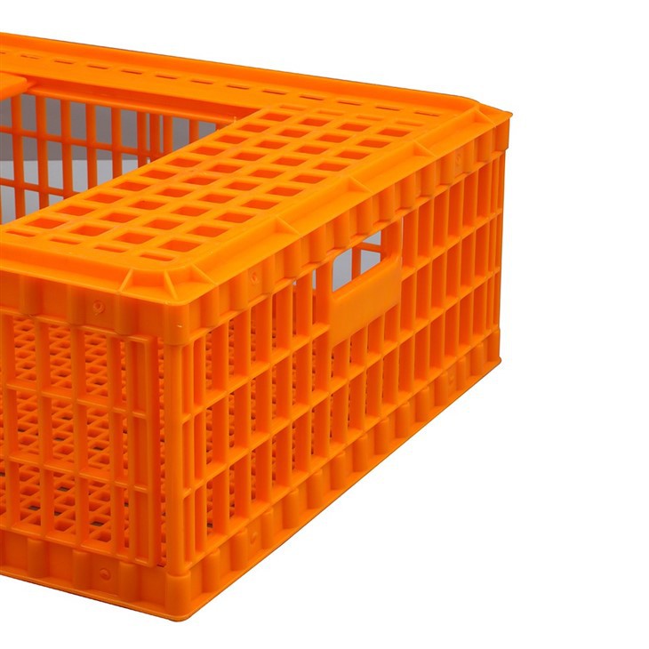 98cm Plastic Chicken Transport Box