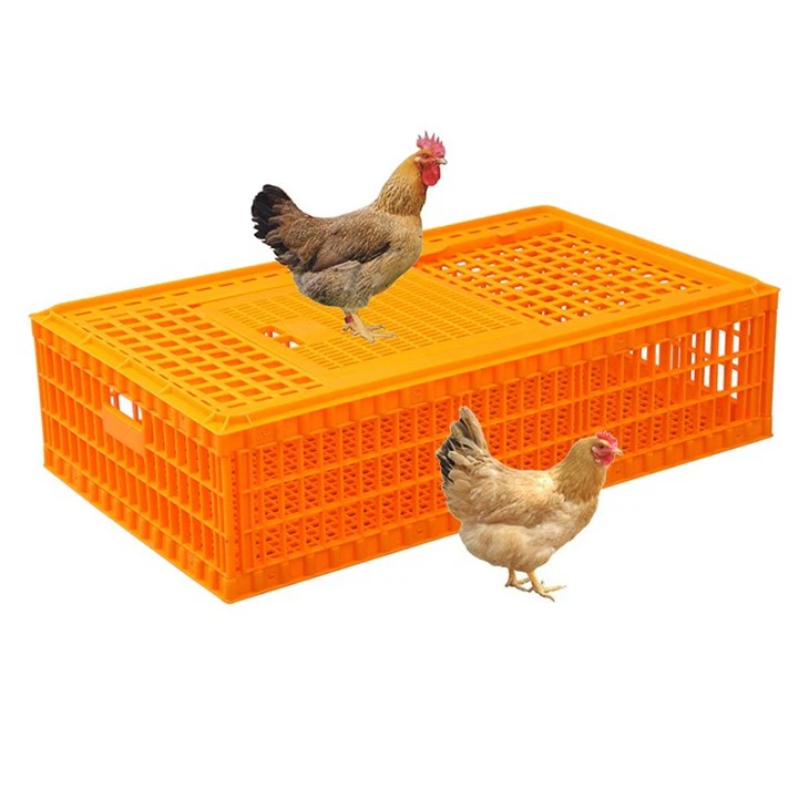 98cm Plastic Chicken Transport Box