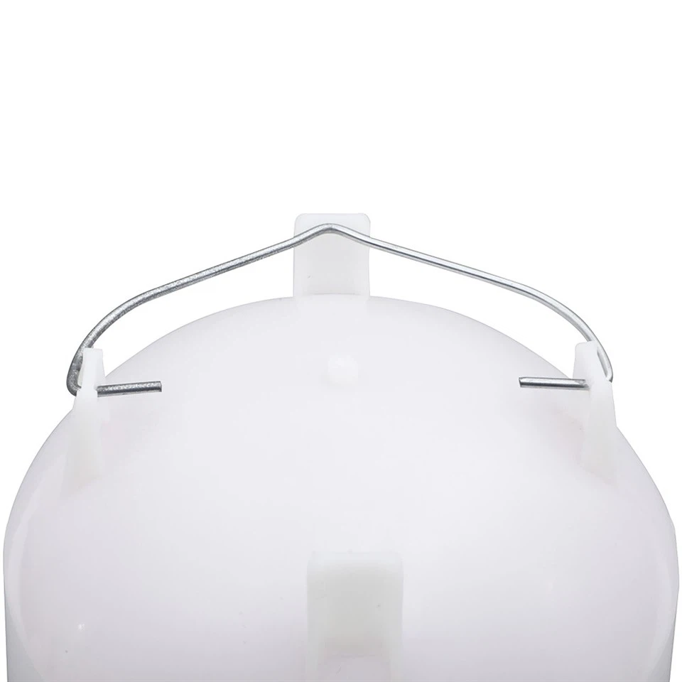 Chickens Feeding Water Container