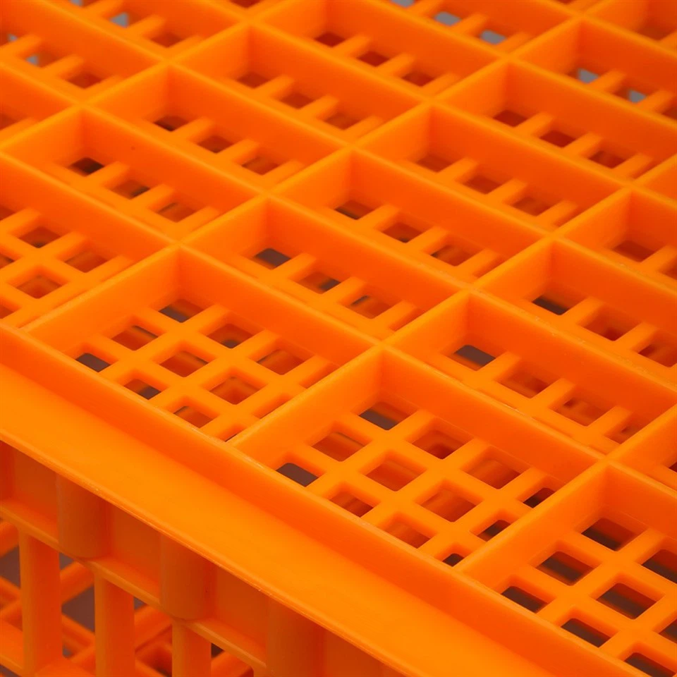 Plastic Chicken Transport Box